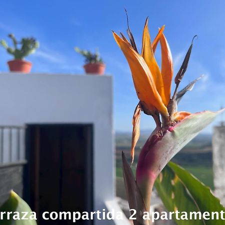 Casa Abades Arcos De La Frontera公寓 外观 照片