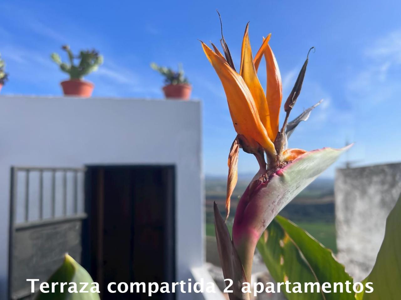Casa Abades Arcos De La Frontera公寓 外观 照片