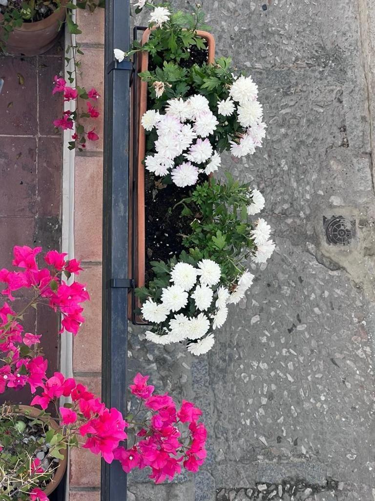 Casa Abades Arcos De La Frontera公寓 外观 照片